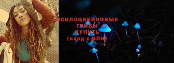 таблы Пересвет