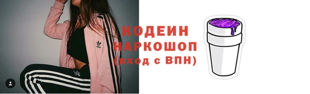 мдпв Осинники