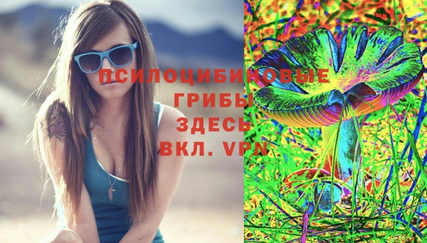 мдпв Осинники