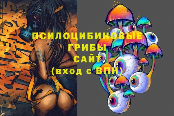 гашик Белокуриха