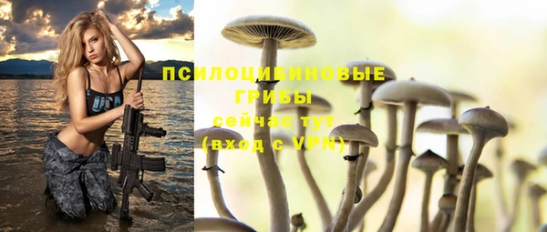 мдпв Остров