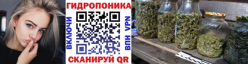 Бошки марихуана сатива  продажа наркотиков  Белоярский 
